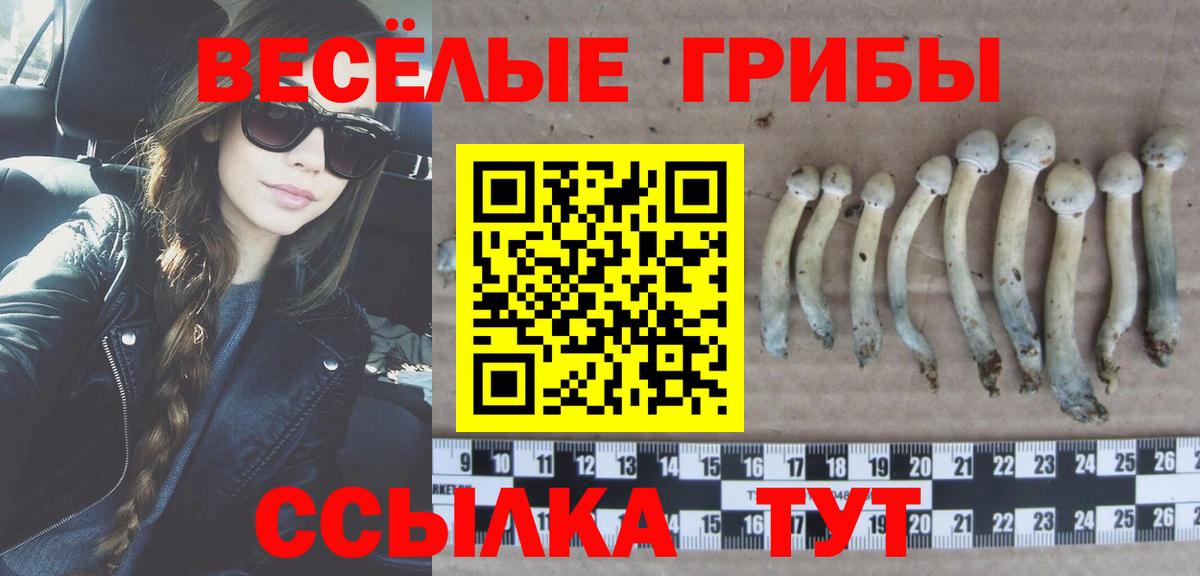 Псилоцибиновые грибы MAGIC MUSHROOMS  Вход с VPN  где найти   Уварово 